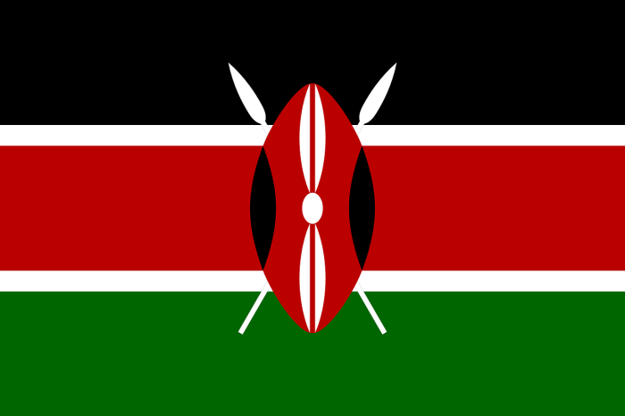SOGGIORNO MARE PRESSO BLUE BAY VILLAGE, KENYA