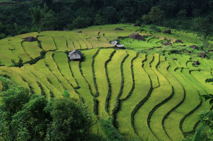 VIETNAM: “LA TERRA DEL DRAGO” 28 FEBBRAIO-10 MARZO 2025