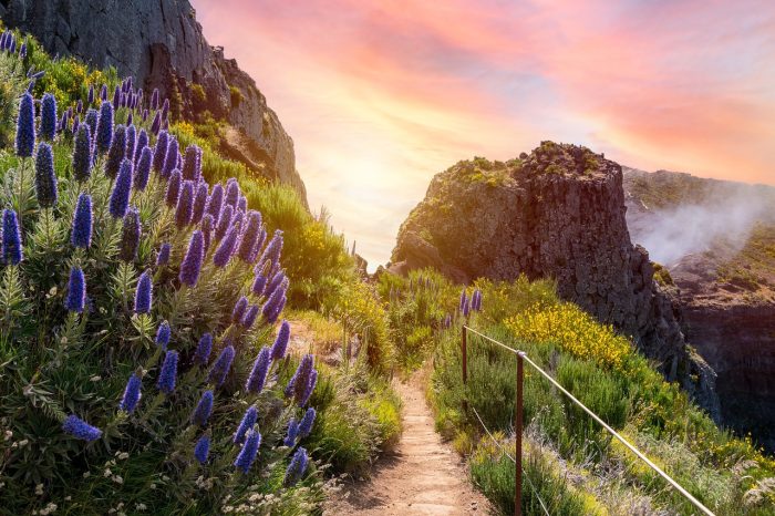 FESTA DEI FIORI NELL’ISOLA DI MADEIRA 23-27 MAGGIO 2025