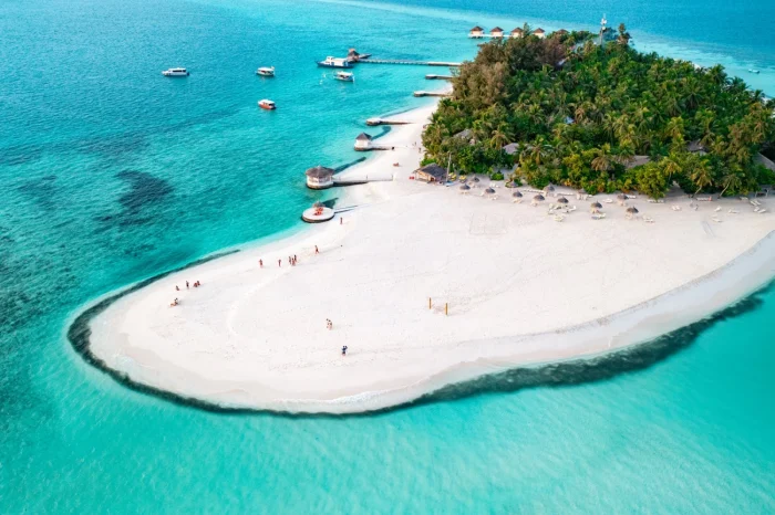 BRAVO PREMIUM MAAYAFUSHI 15-23 DICEMBRE